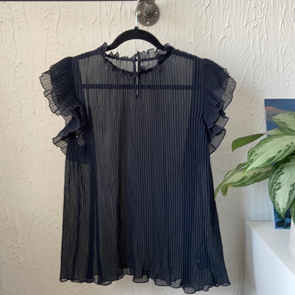 Sheer Ruffle Neck Blouse